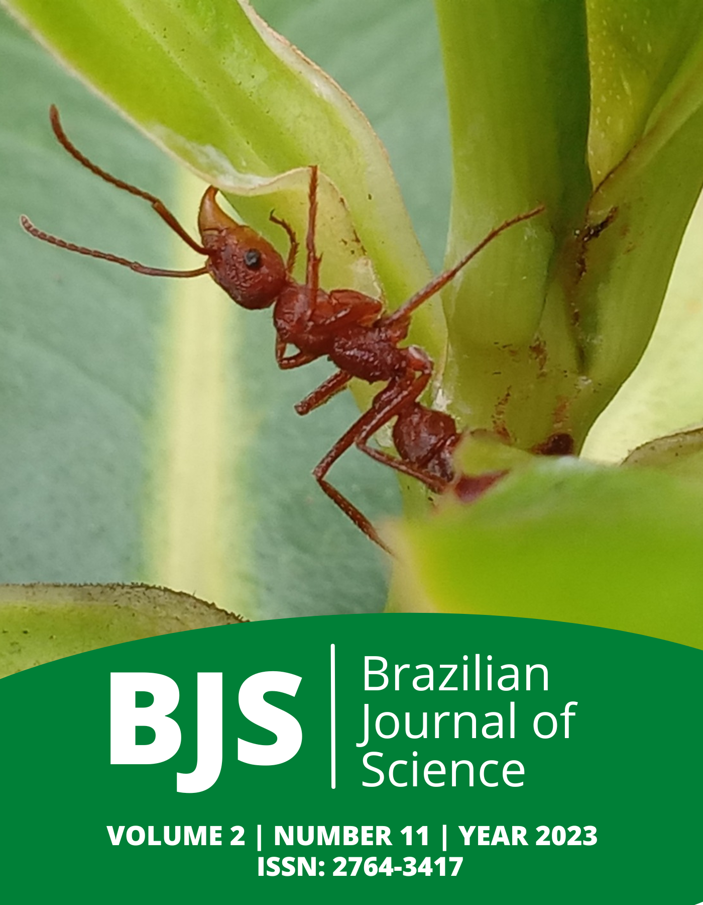 					View Vol. 2 No. 11 (2023): Brazilian Journal of Science
				