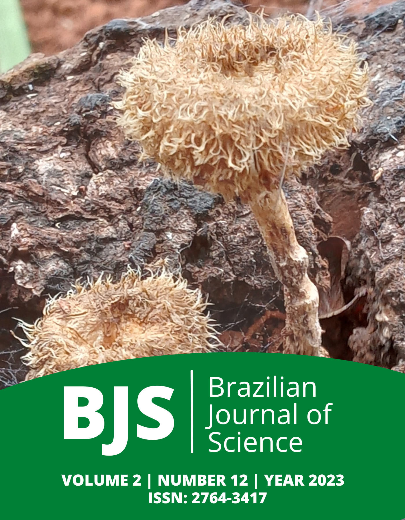 					View Vol. 2 No. 12 (2023): Brazilian Journal of Science
				
